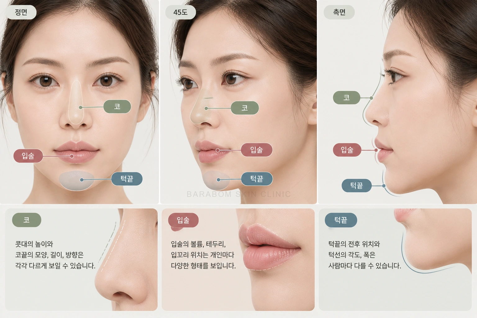 턱끝의 옆선과 정면 폭을 설명한 그림
