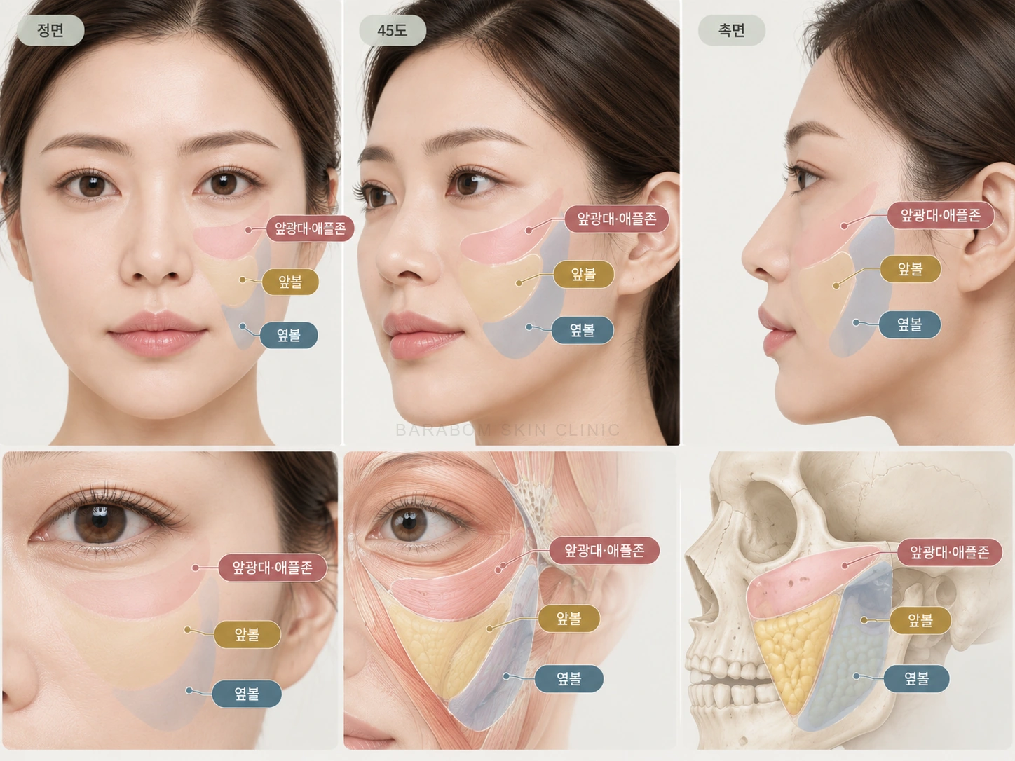 앞볼과 옆볼의 위치를 구분한 그림