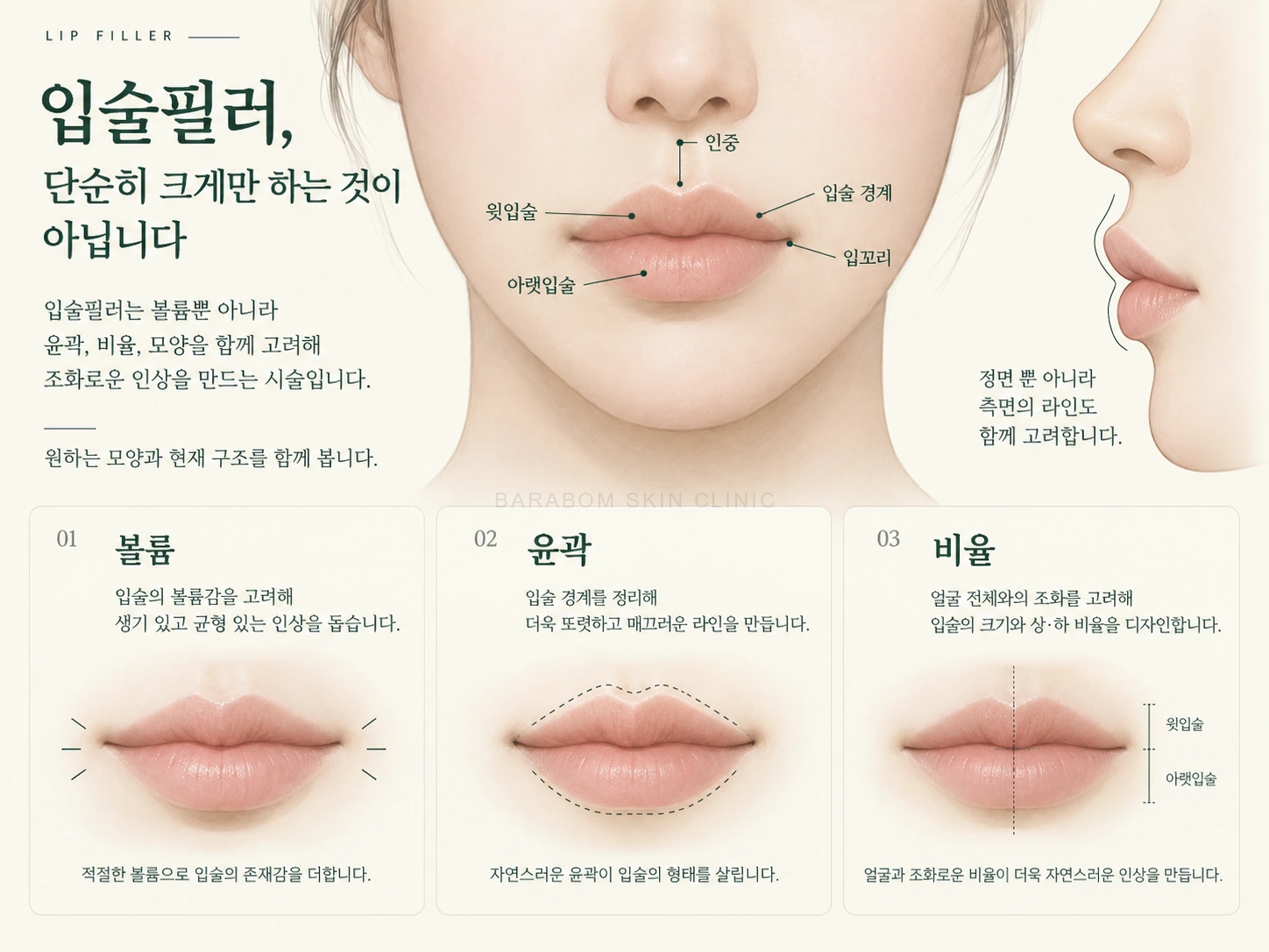 윗입술과 아랫입술, 입술 경계와 입꼬리 및 볼륨·윤곽·비율을 설명한 그림